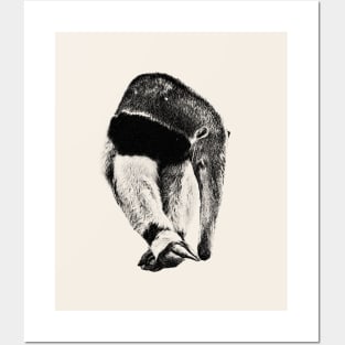 Giant anteater Posters and Art